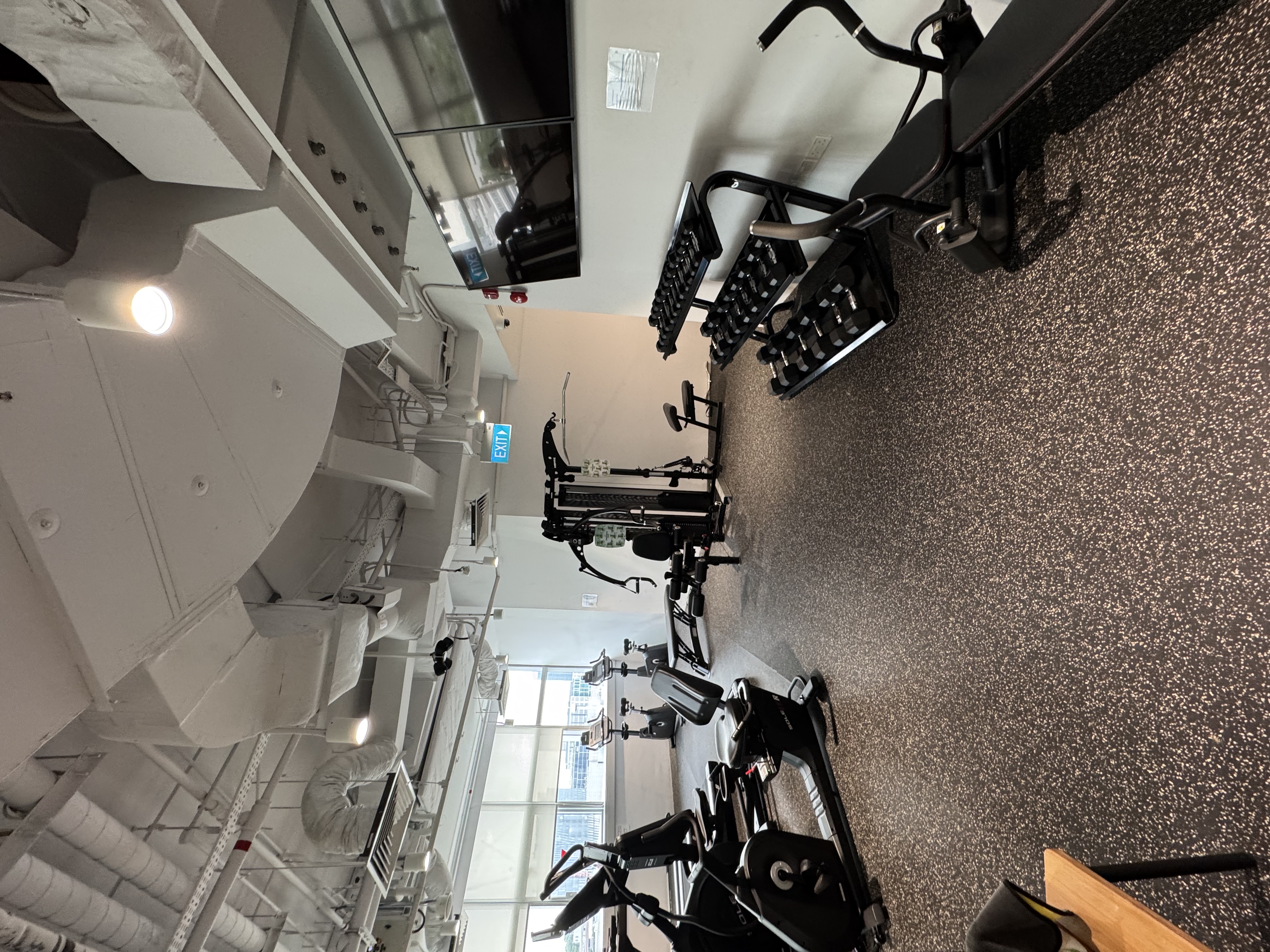 Professional wellness facility